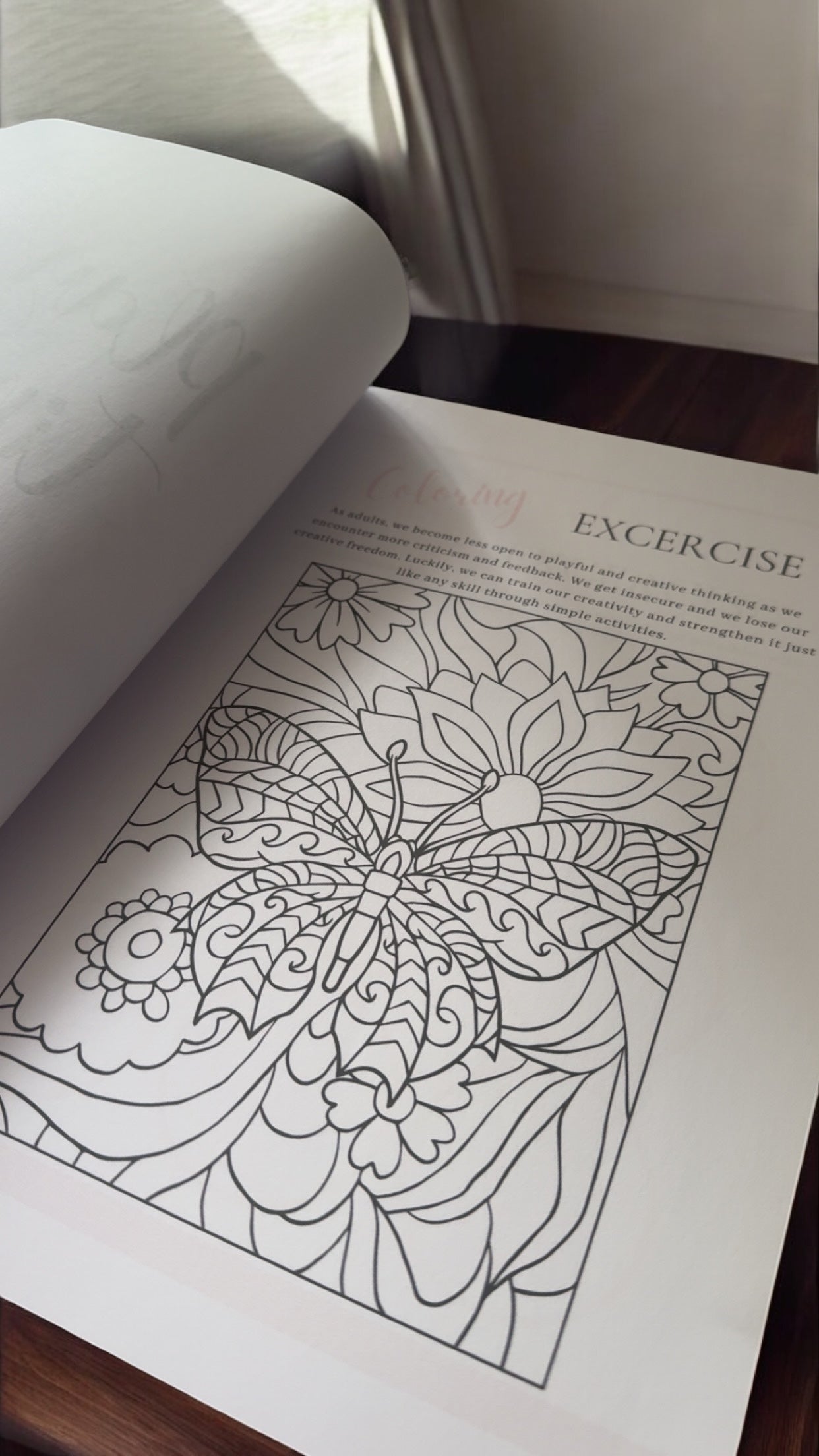 43 Page Mental Health Journal