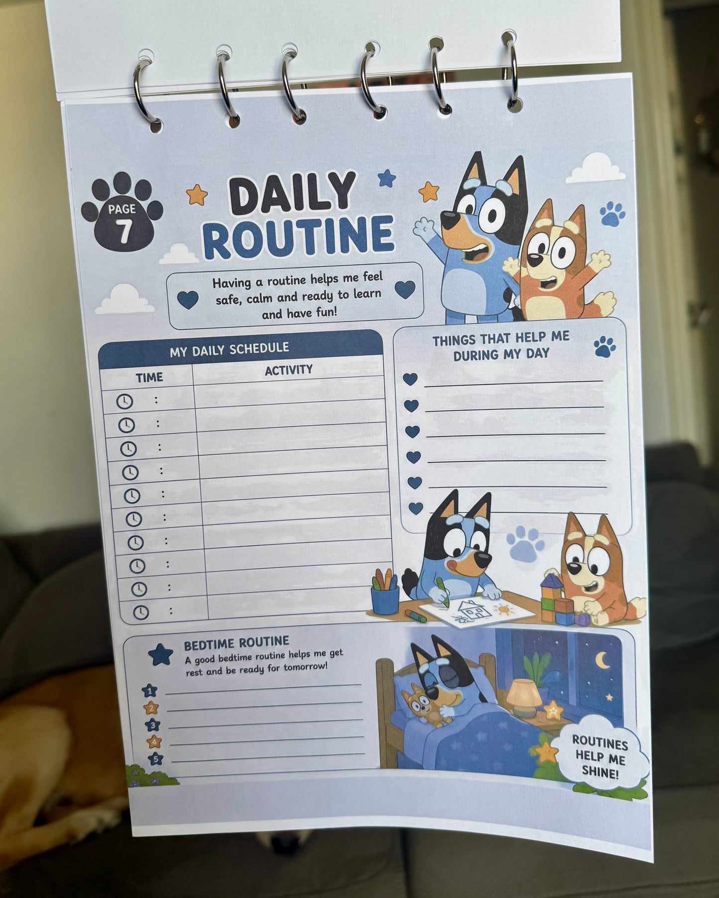 Personalised Bluey A4 Emergency Binder