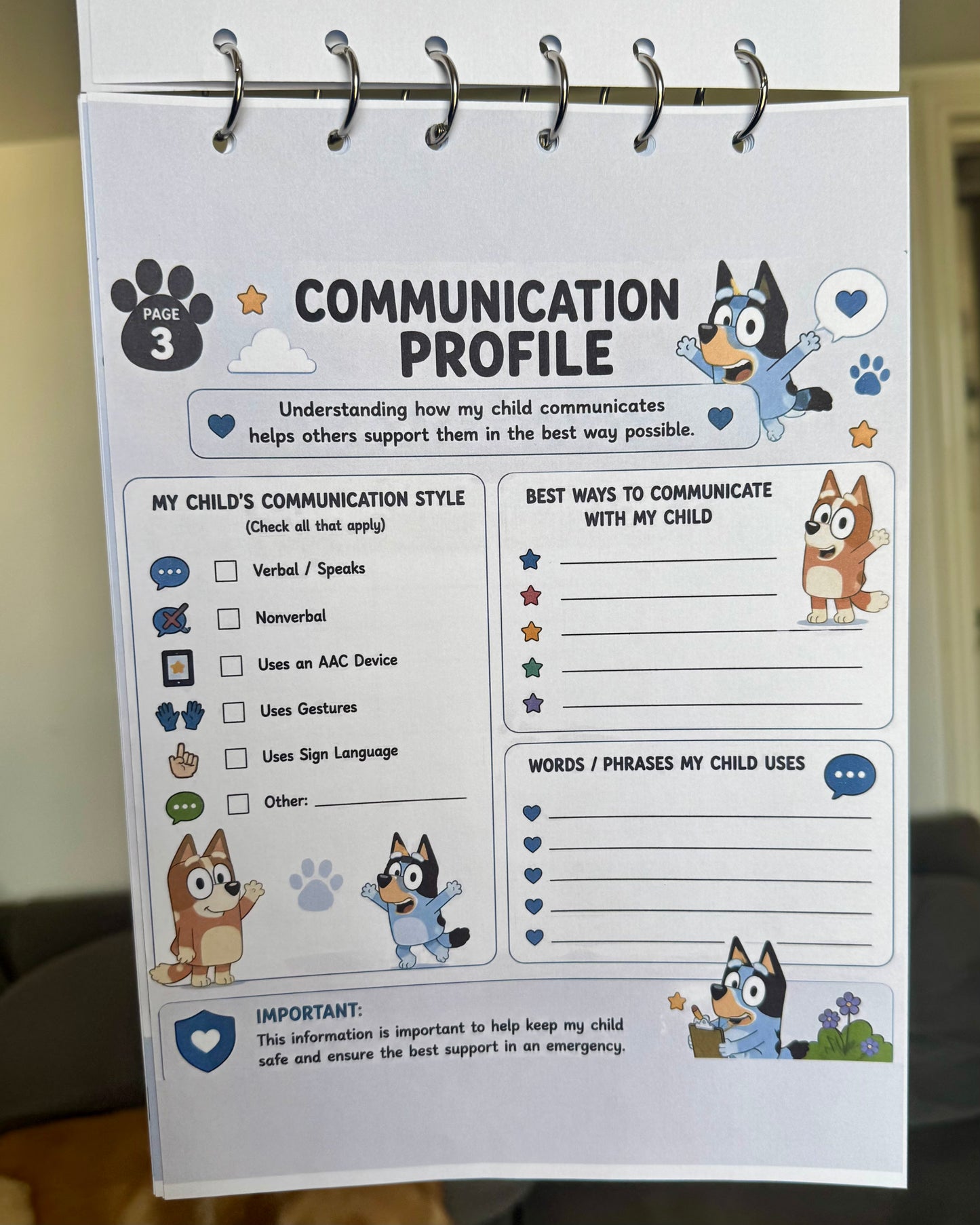Personalised Bluey A4 Emergency Binder