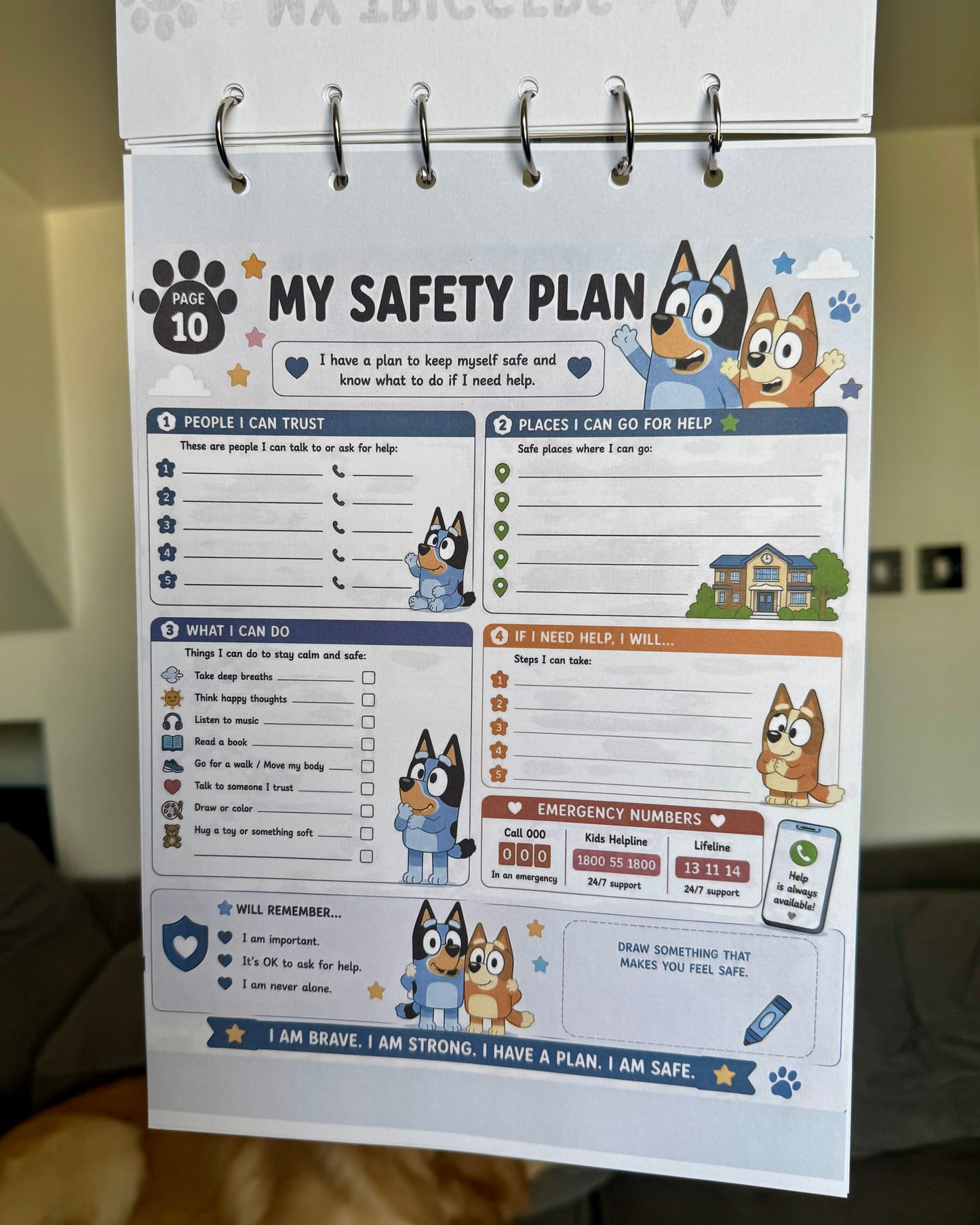 Personalised Bluey A4 Emergency Binder