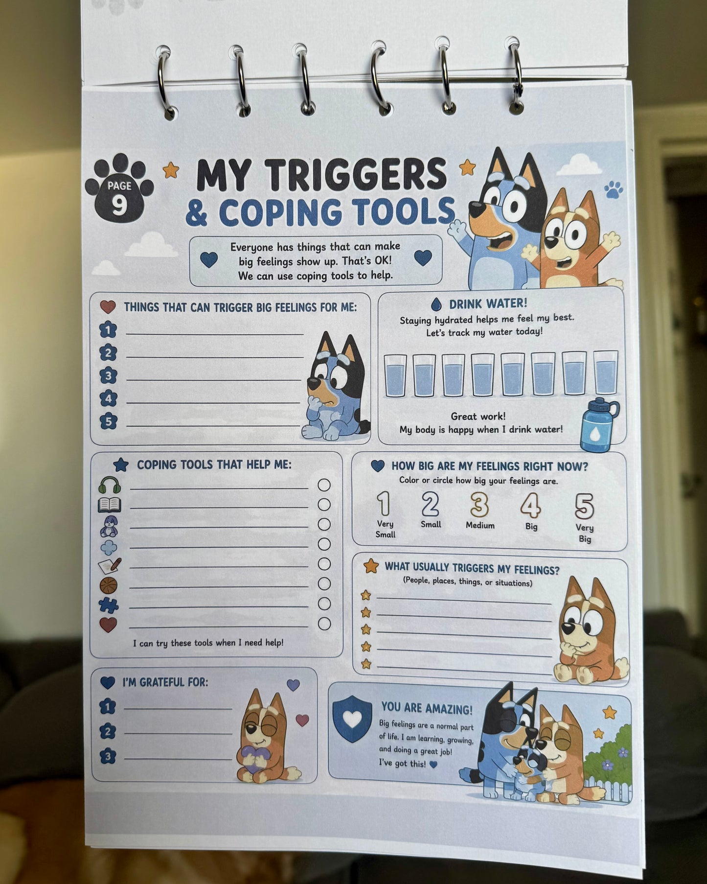 Personalised Bluey A4 Emergency Binder